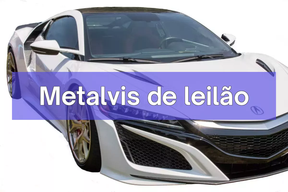 Metalvis em leilão