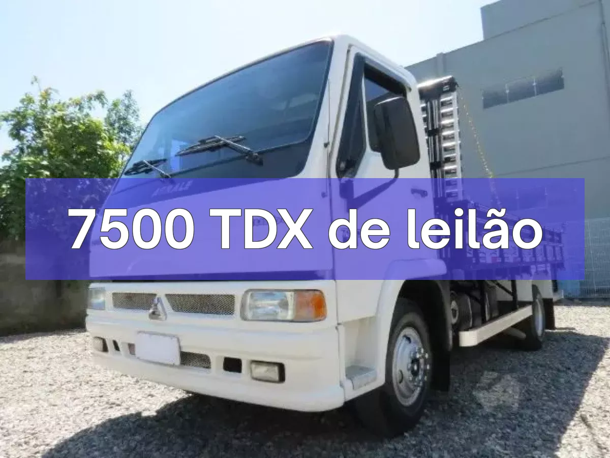 7500 TDX em leilão
