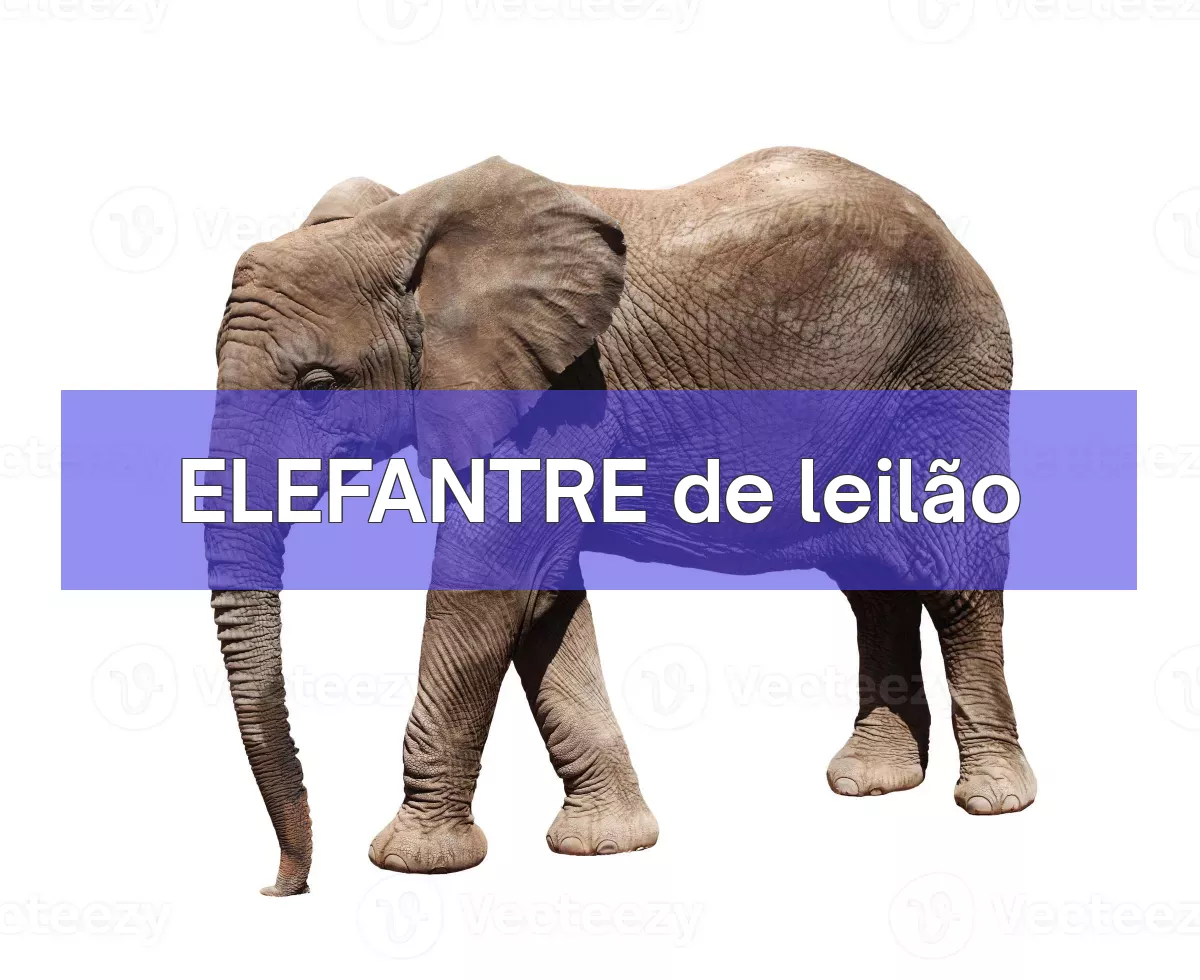 ELEFANTRE em leilão