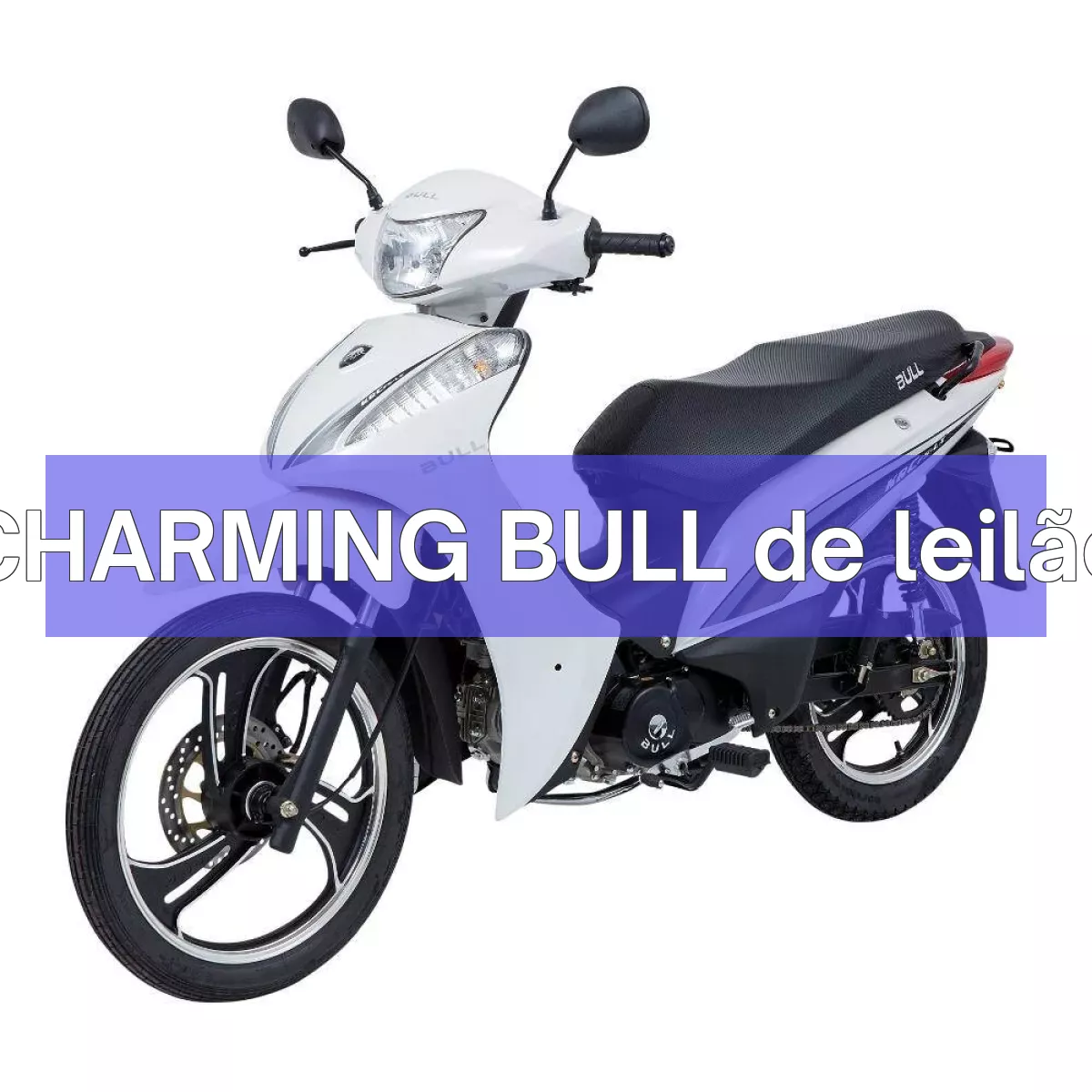 CHARMING BULL em leilão