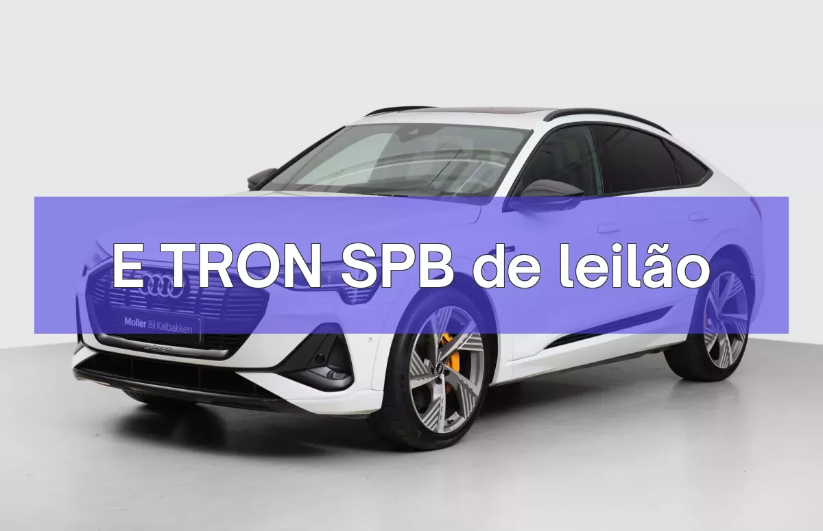 E TRON SPB em leilão
