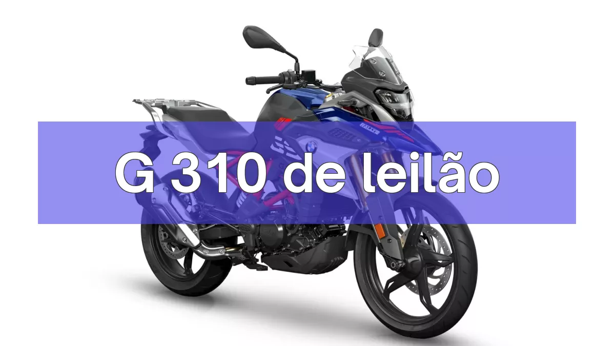 G 310 em leilão