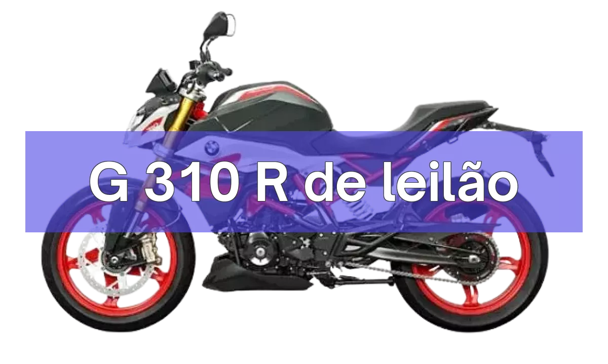 G 310 R em leilão
