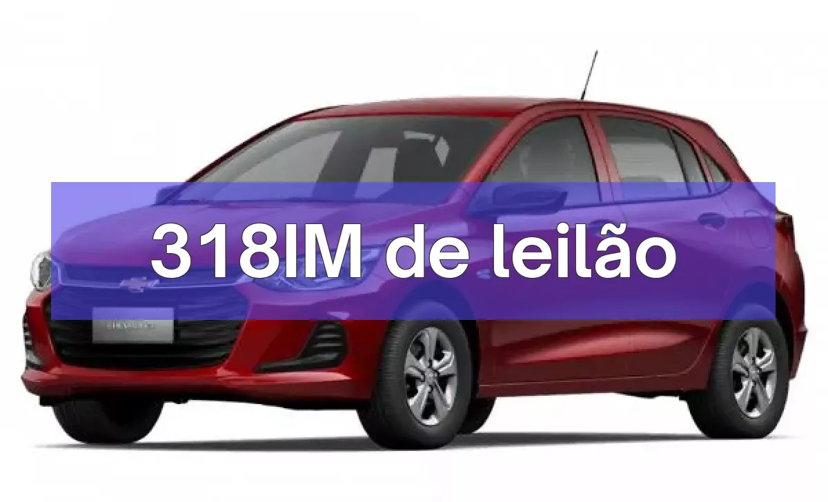 318IM em leilão