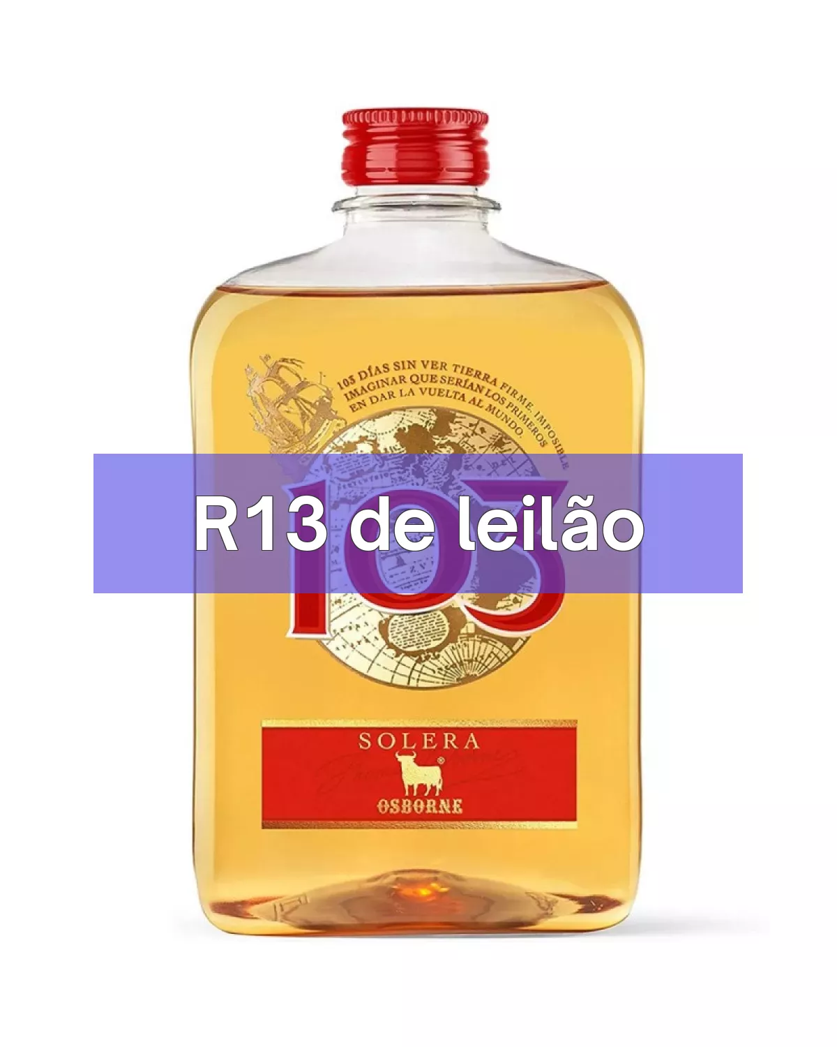 R13 em leilão