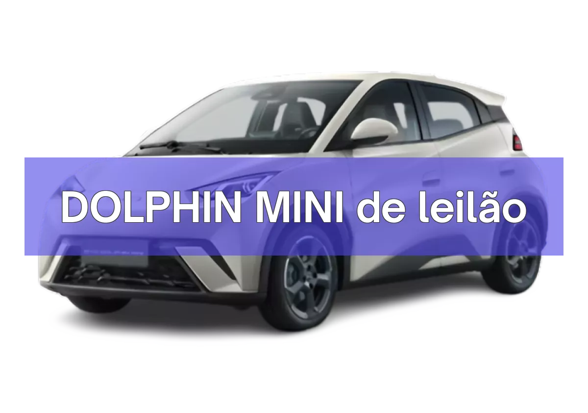 DOLPHIN MINI em leilão