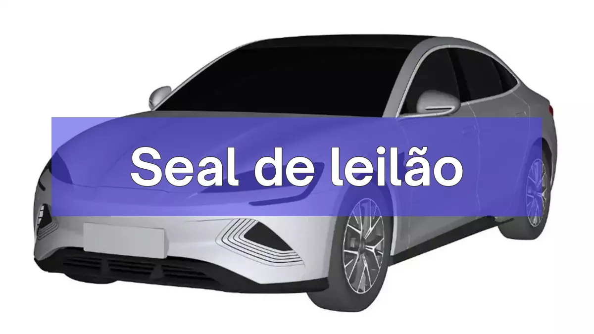 Seal em leilão
