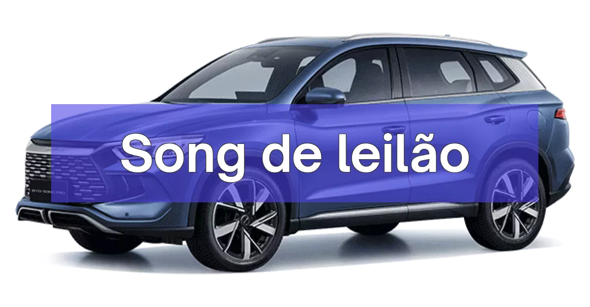 Song em leilão