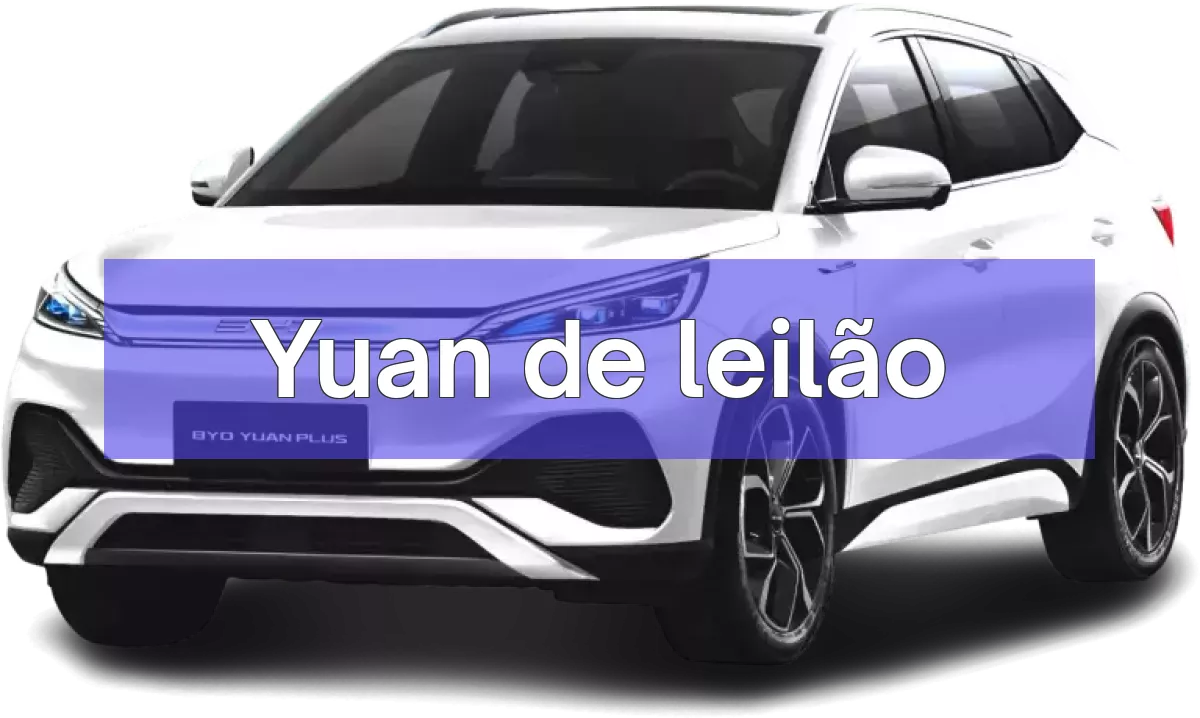 Yuan em leilão