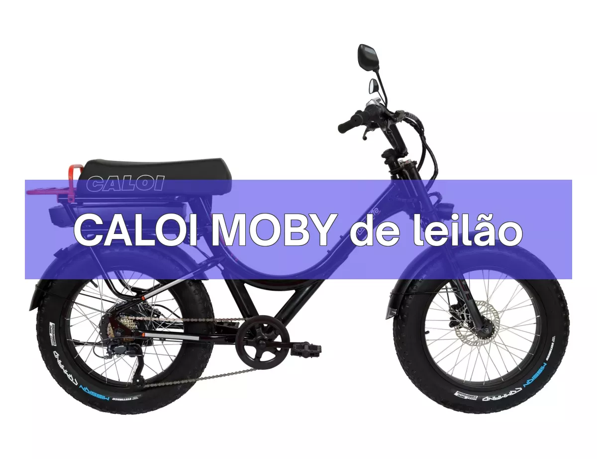 CALOI MOBY em leilão