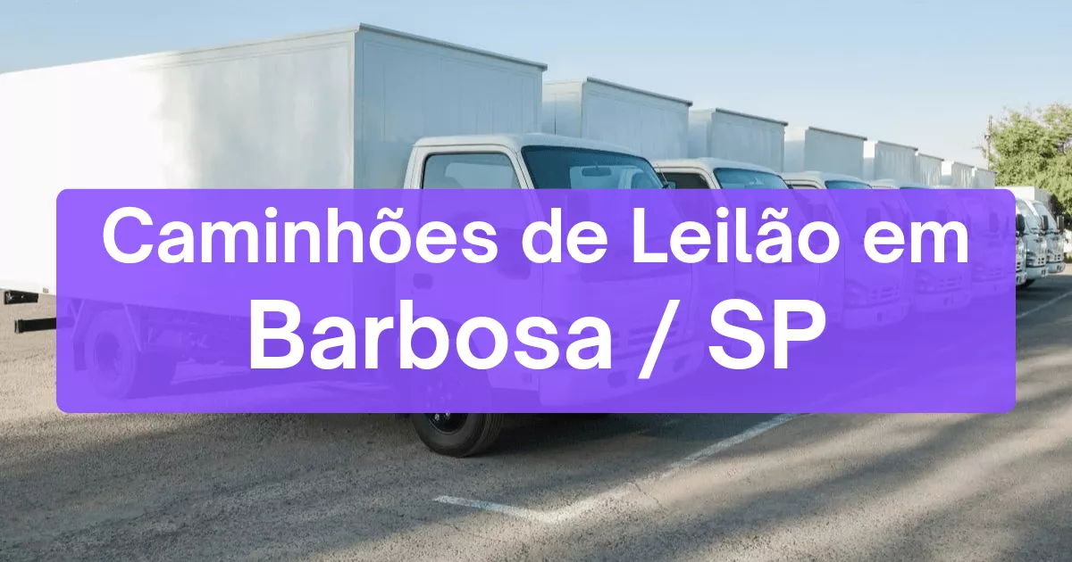 caminhoes em leilão em Barbosa/SP