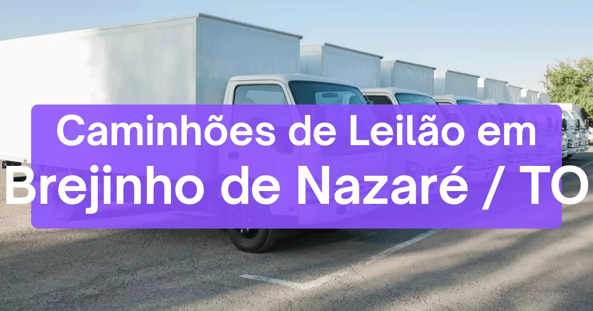 caminhoes em leilão em Brejinho de Nazaré/TO