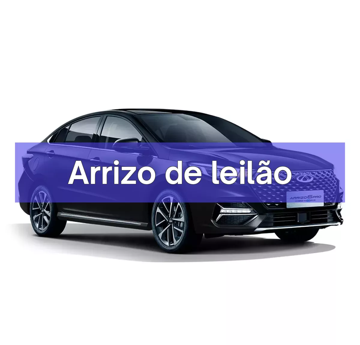 Arrizo em leilão