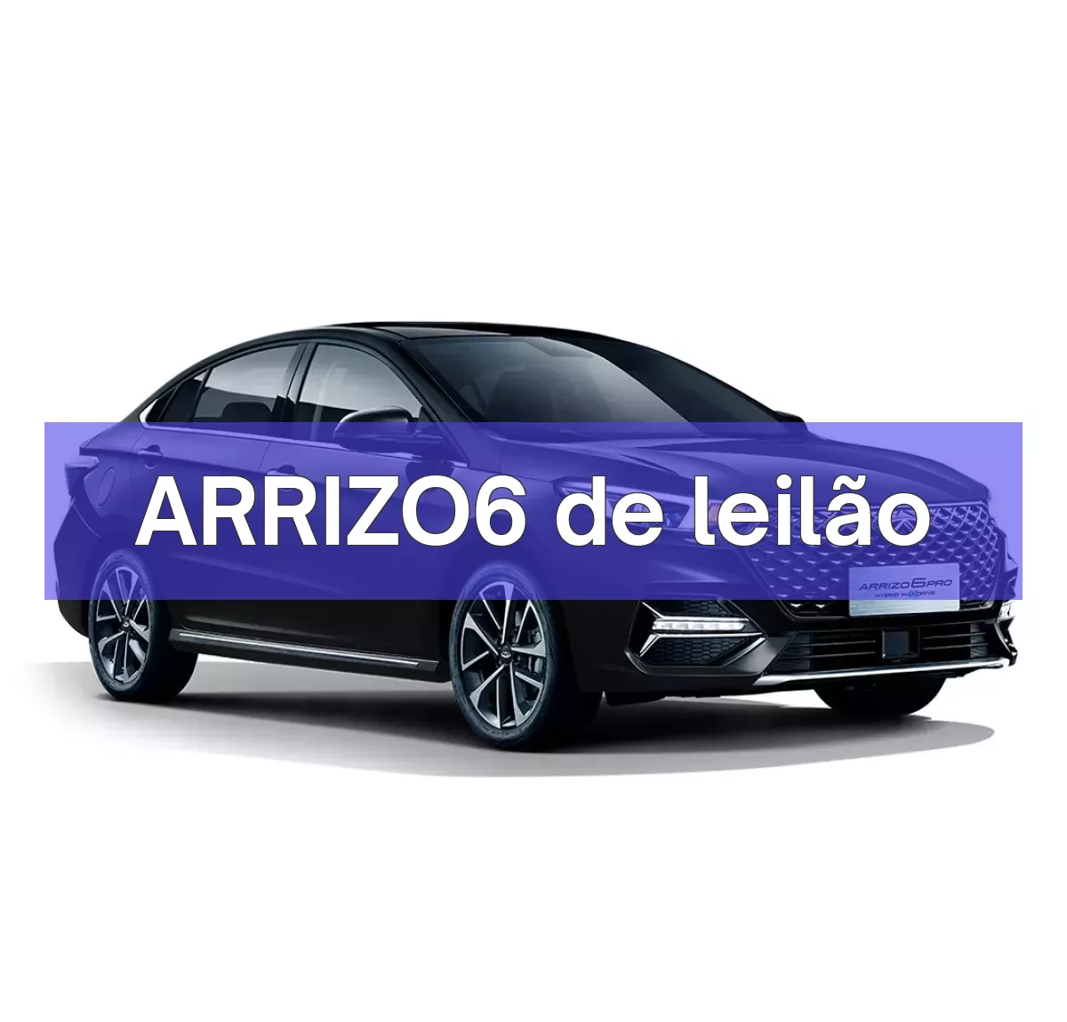 ARRIZO6 em leilão