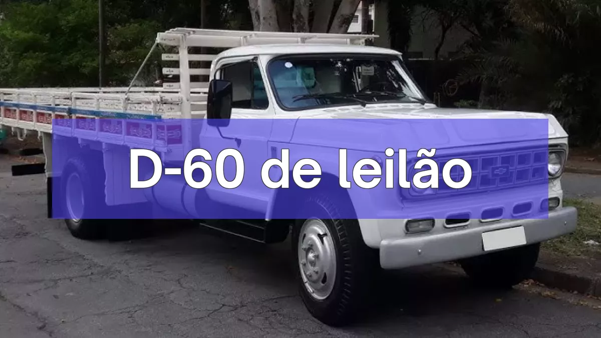 D-60 em leilão