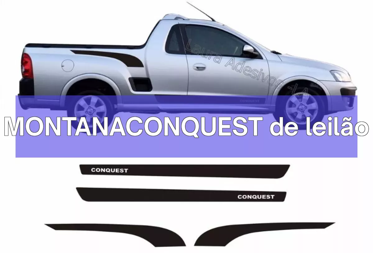 MONTANACONQUEST em leilão