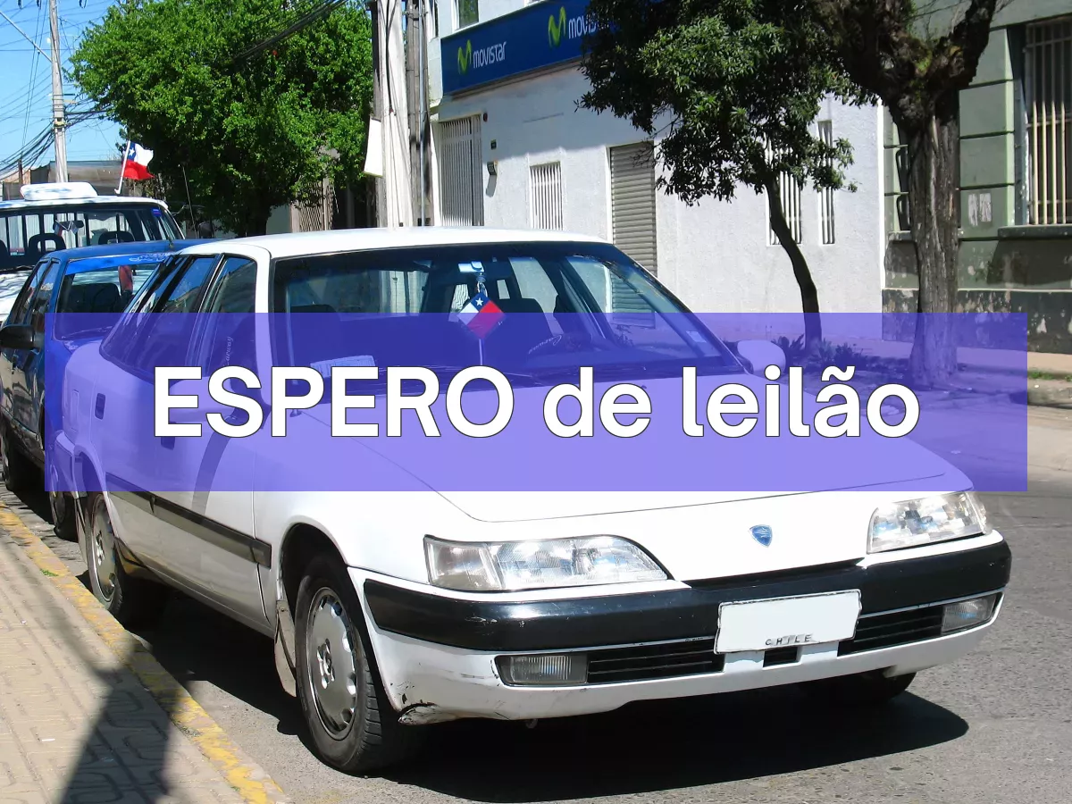 ESPERO em leilão