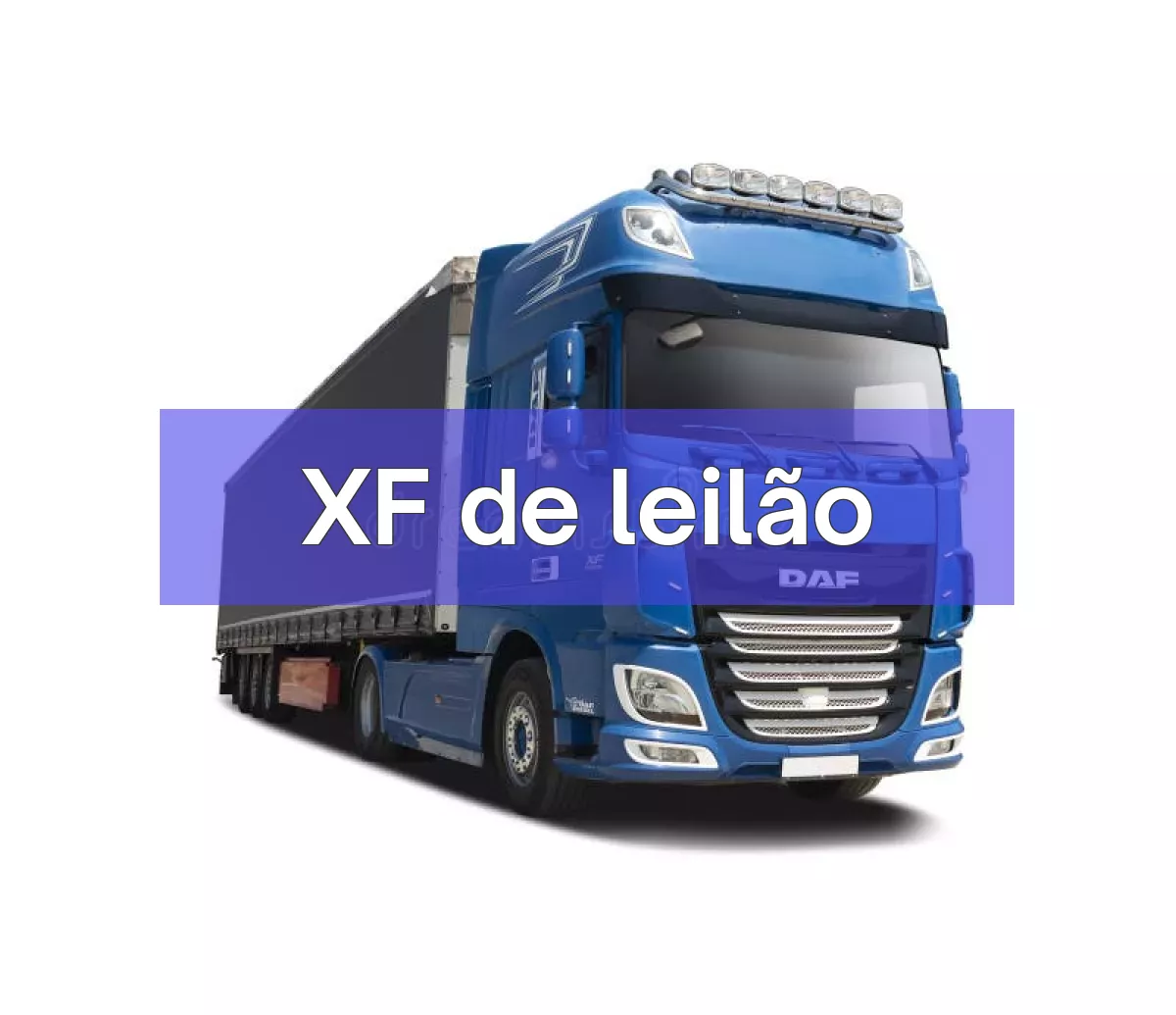 XF em leilão