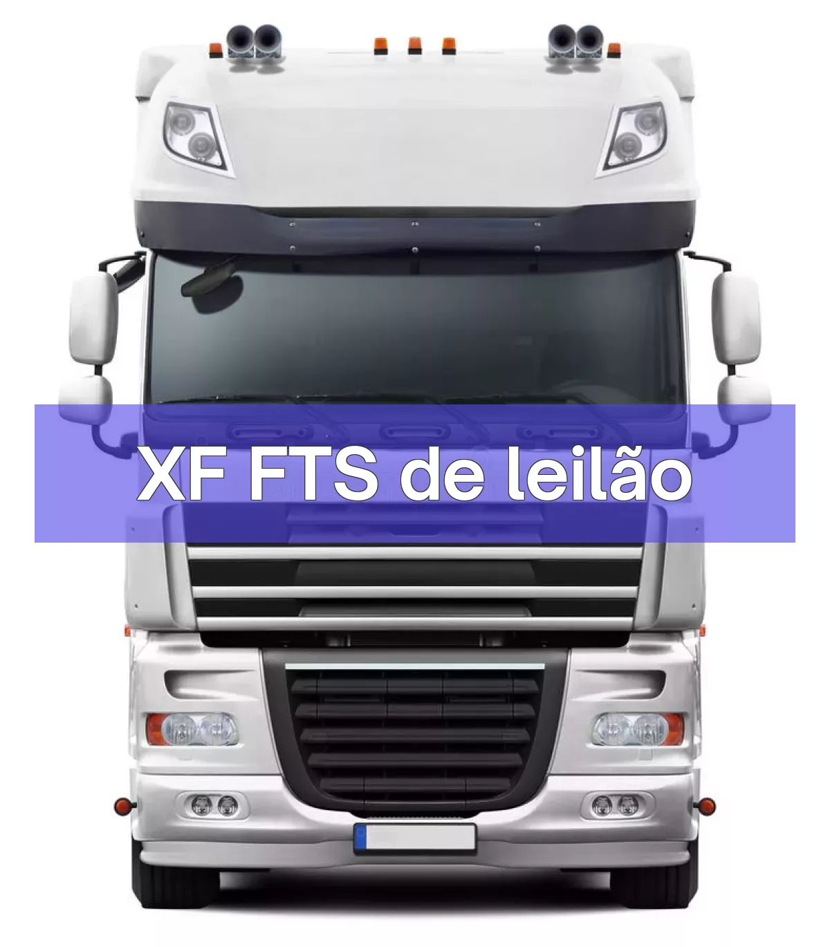 XF FTS em leilão