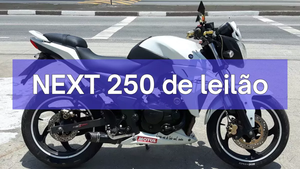 NEXT 250 em leilão