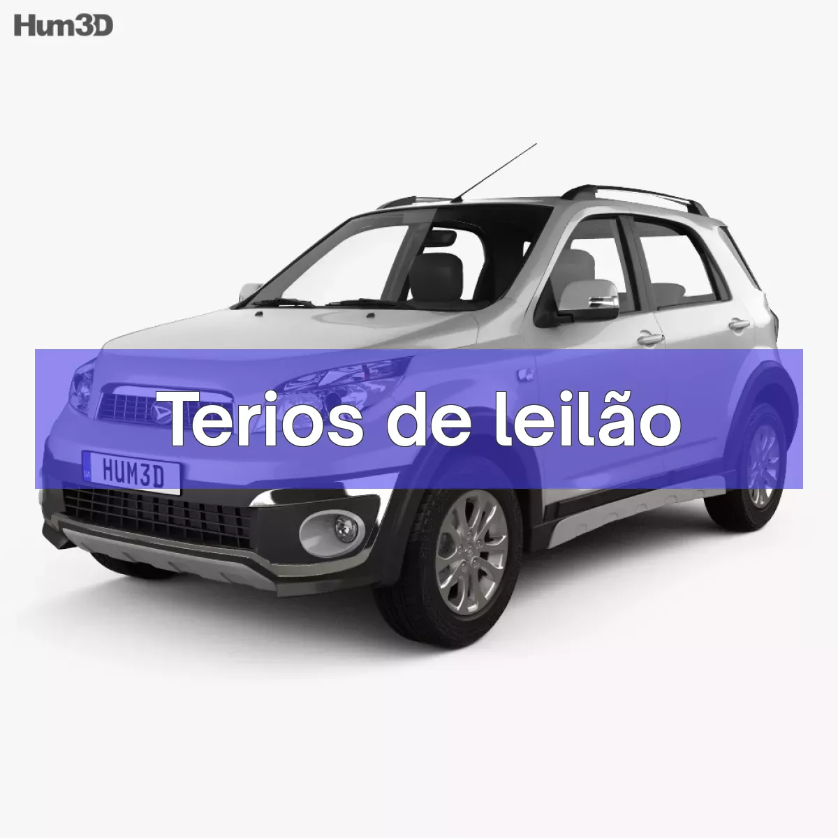 Terios em leilão
