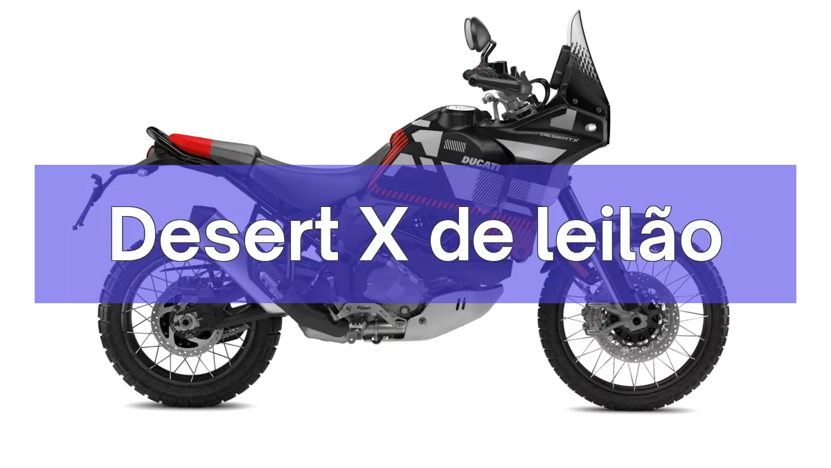 Desert X em leilão