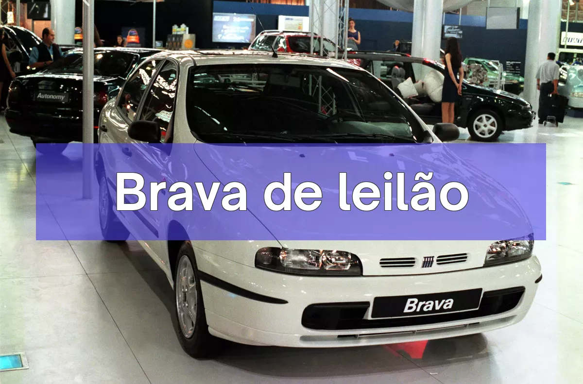Brava em leilão