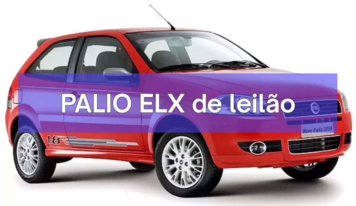 PALIO ELX em leilão