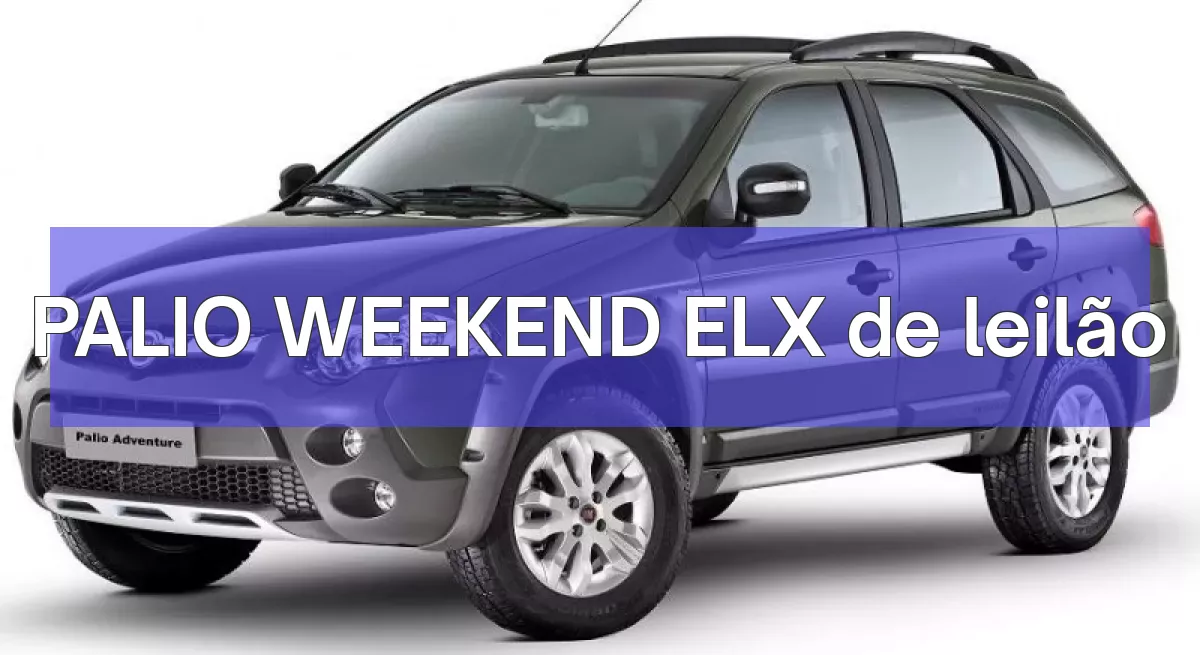 PALIO WEEKEND ELX em leilão