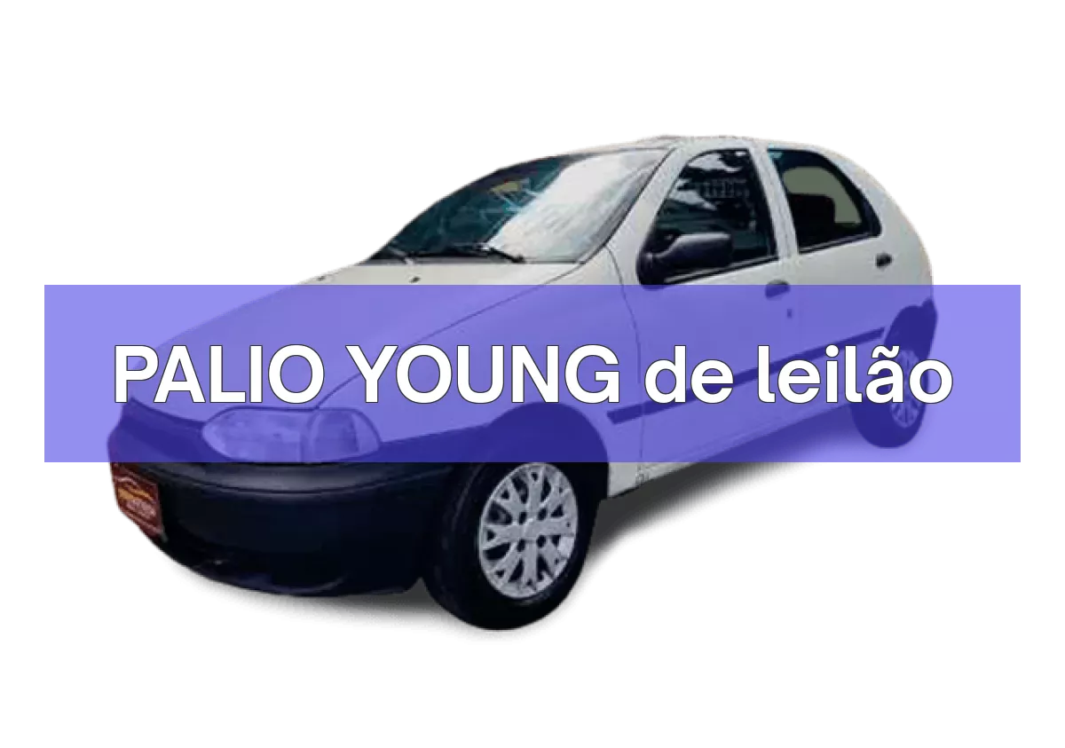 PALIO YOUNG em leilão