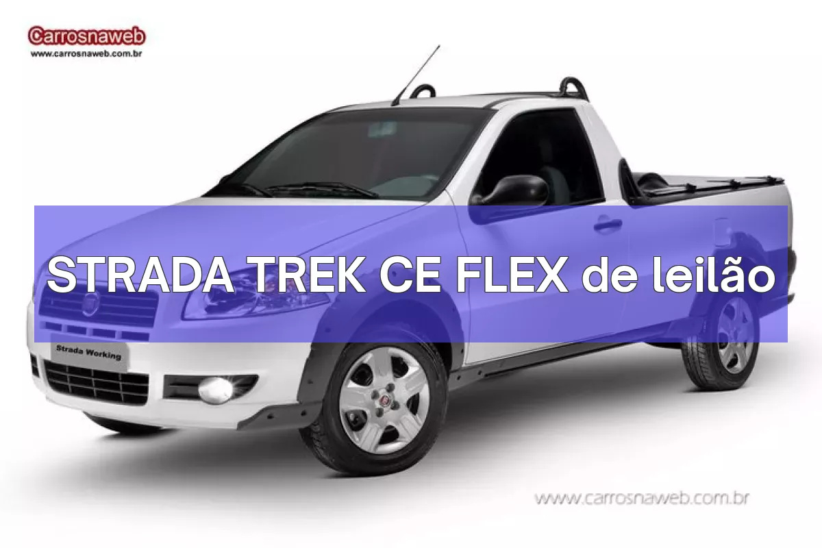 STRADA TREK CE FLEX em leilão