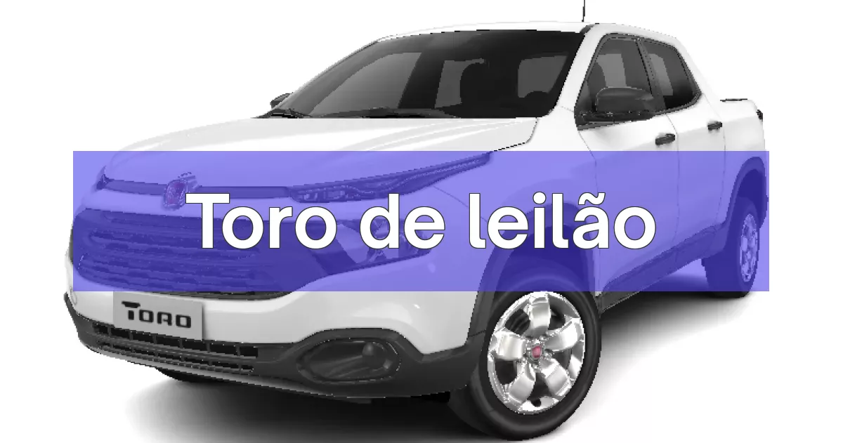 Toro em leilão