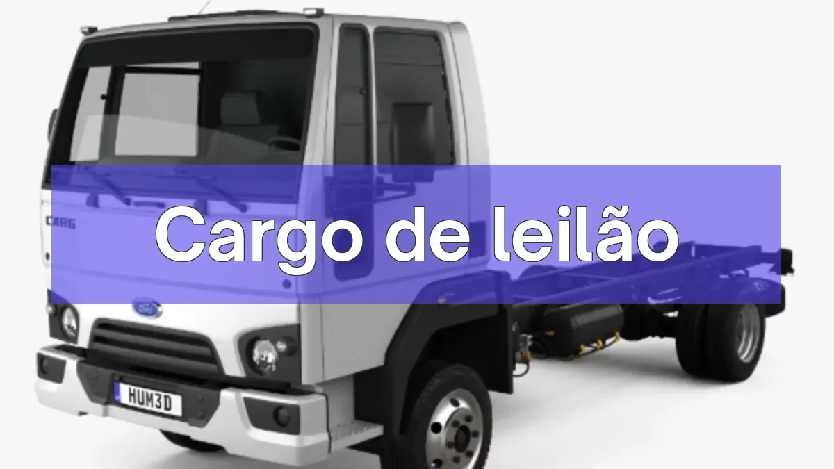 Cargo em leilão