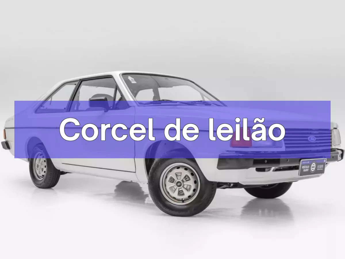 Corcel em leilão