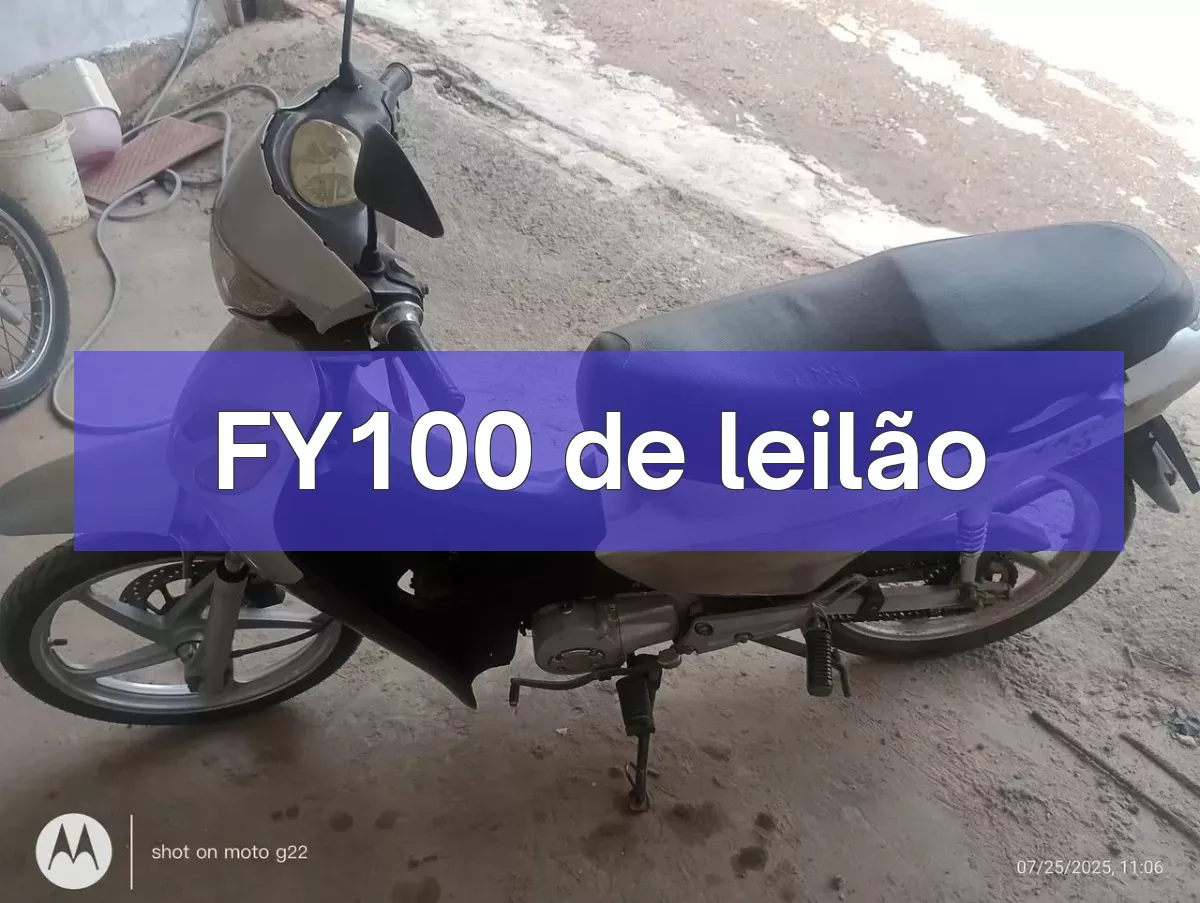 FY100 em leilão
