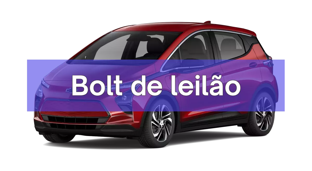 Bolt em leilão