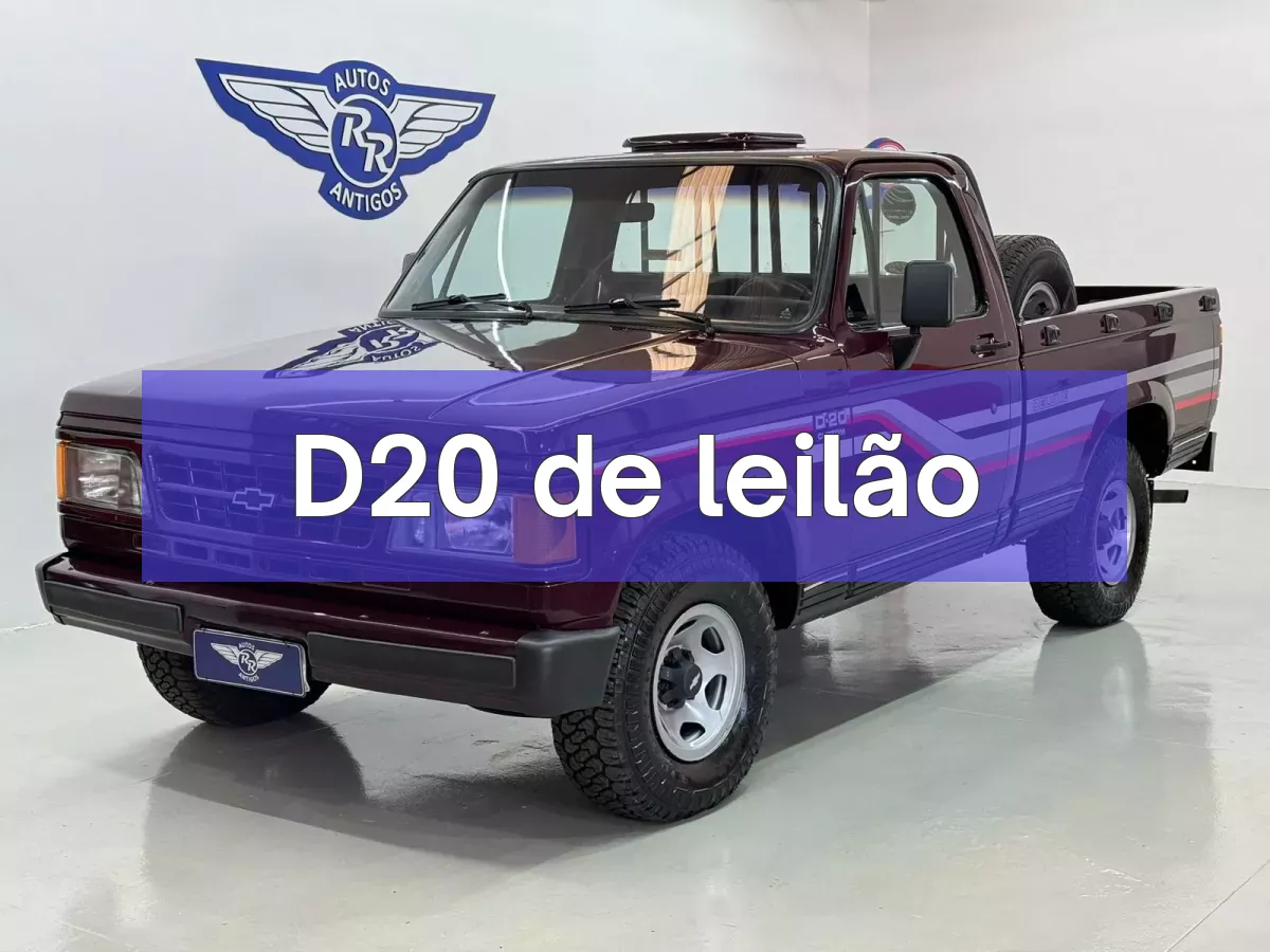 D20 em leilão