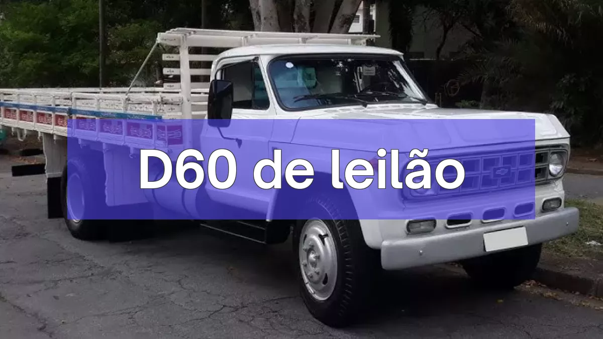 D60 em leilão