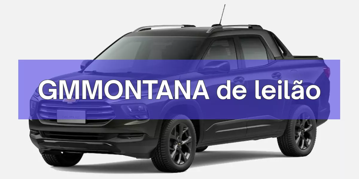 GMMONTANA em leilão