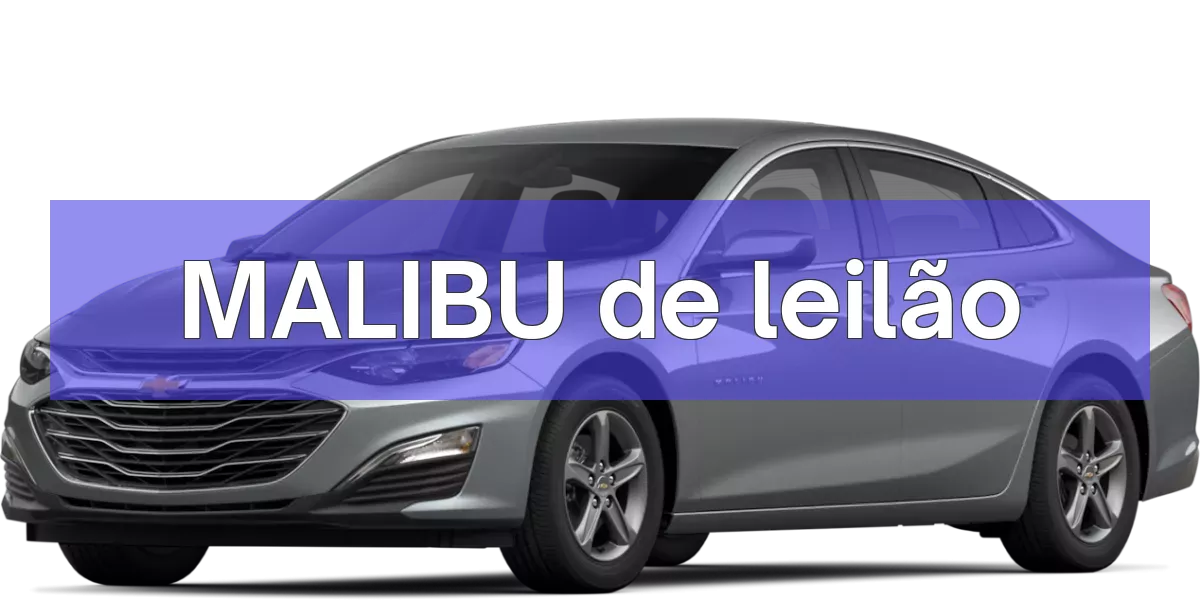 MALIBU em leilão
