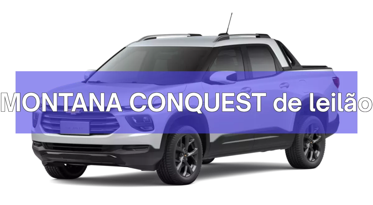 MONTANA CONQUEST em leilão