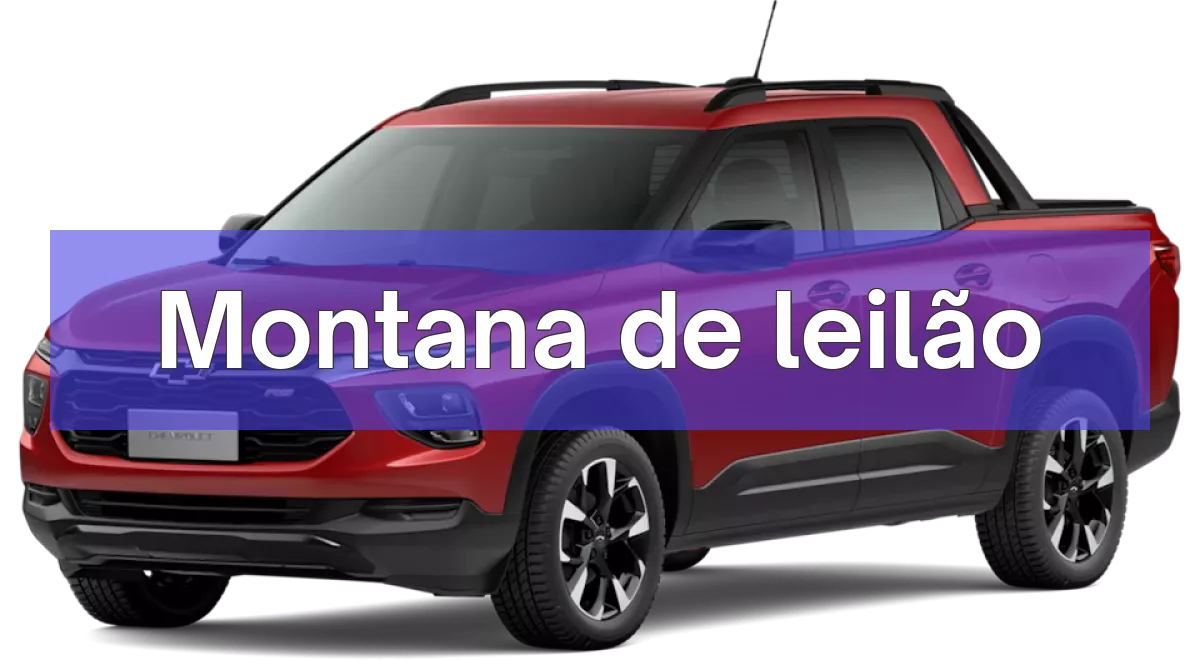 Montana em leilão