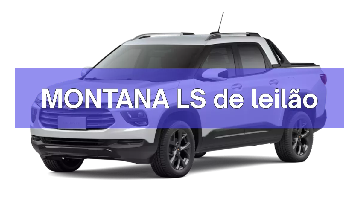 MONTANA LS em leilão