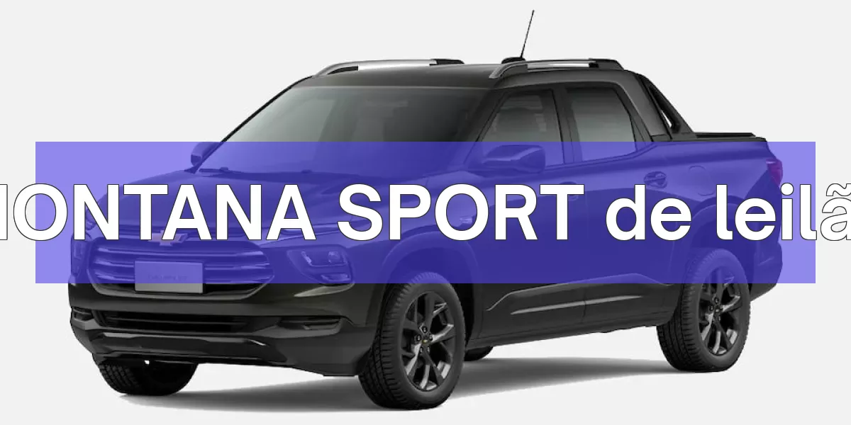 MONTANA SPORT em leilão