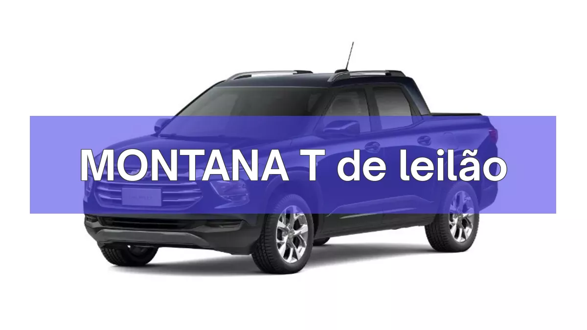 MONTANA T em leilão