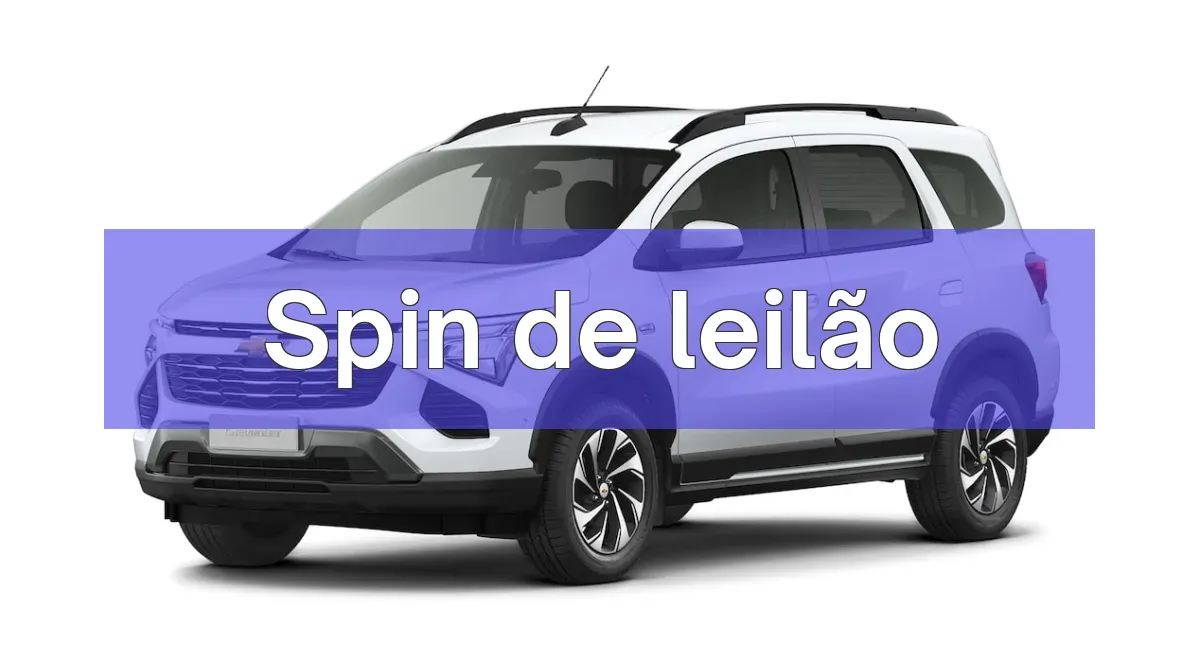 Spin em leilão