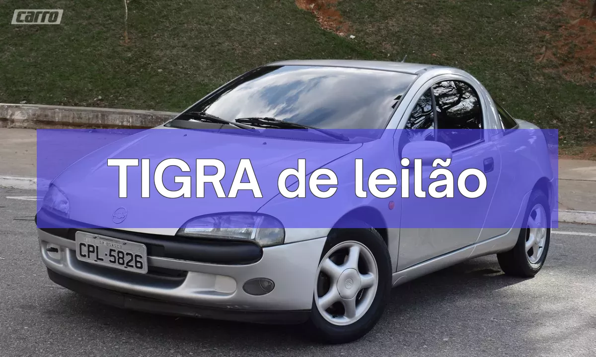 TIGRA em leilão