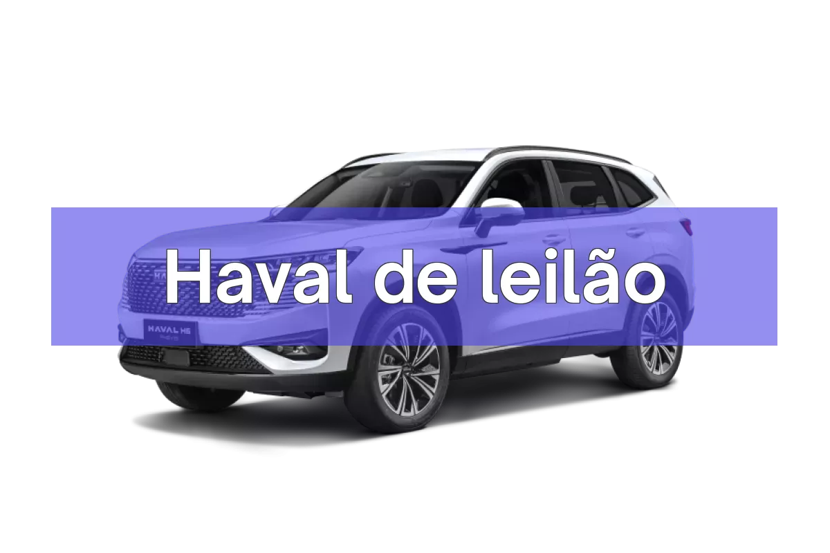Haval em leilão