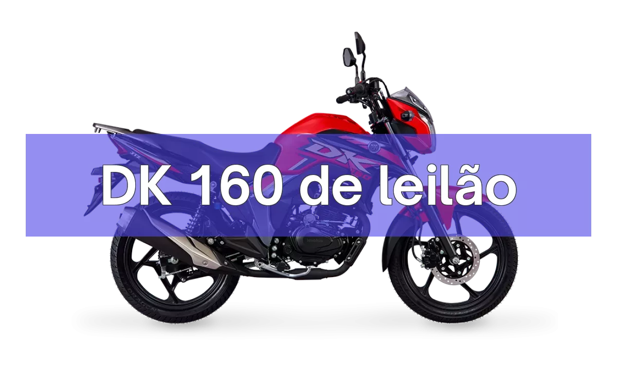 DK 160 em leilão
