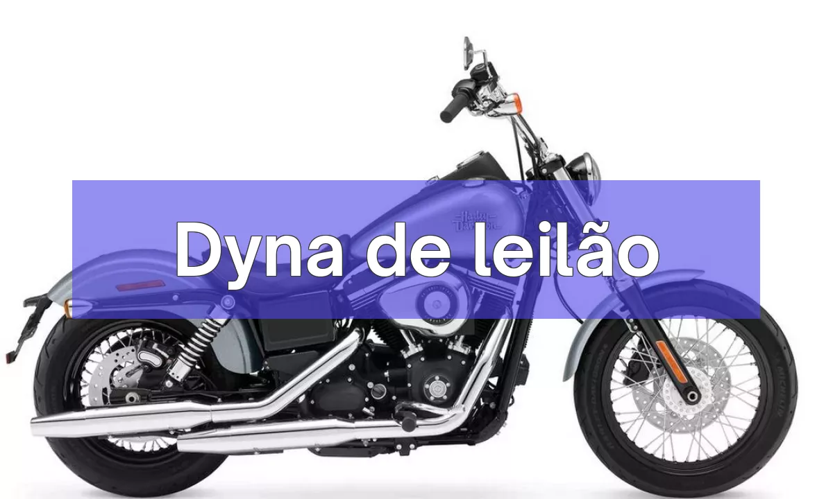 Dyna em leilão